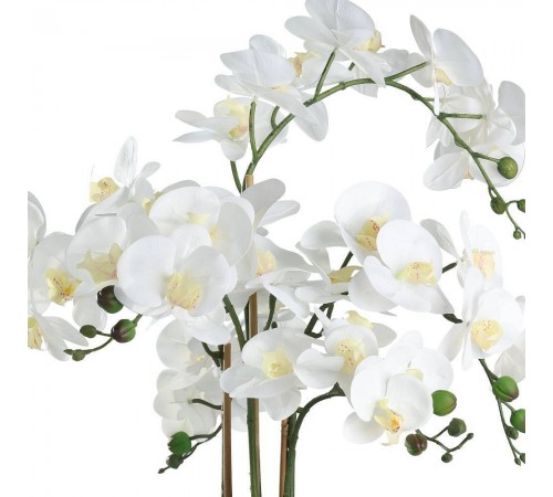 Растение в горшке (500x650) Hyuga 428024