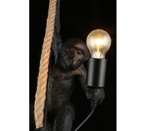 Подвесной светильник Aployt APL.309.16.01 Magali