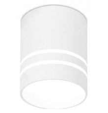 Накладной светильник Ambrella Light TN240 TN