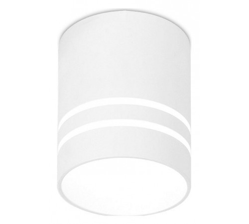 Накладной светильник Ambrella Light TN240 TN