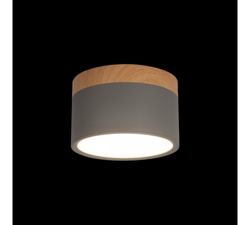 Накладной светильник Loft it 10162 Grey Grape
