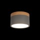 Накладной светильник Loft it 10162 Grey Grape