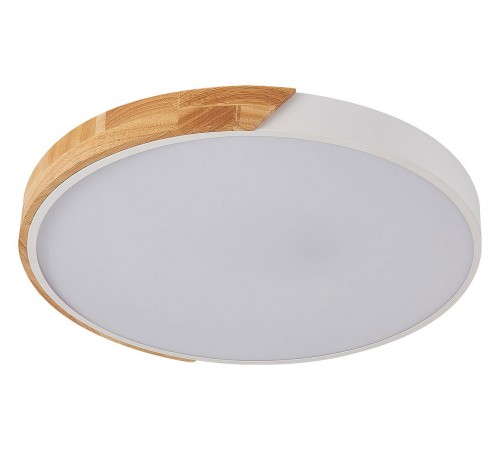 Накладной светильник Natali Kovaltseva LED LAMPS 81182 Scandinavian