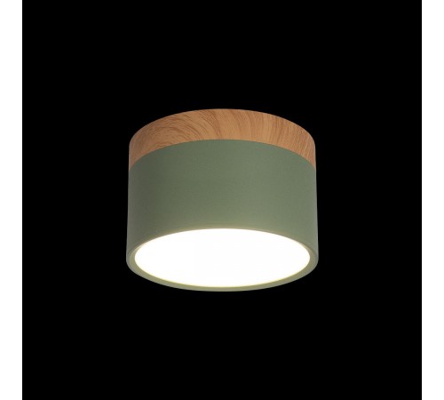 Накладной светильник Loft it 10162 Green Grape