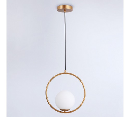 Подвесной светильник Ambrella Light TR2594 TR