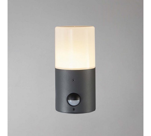 Светильник на штанге Escada 581/1A Pair