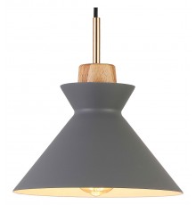 Подвесной светильник Escada 1106/1S Crater