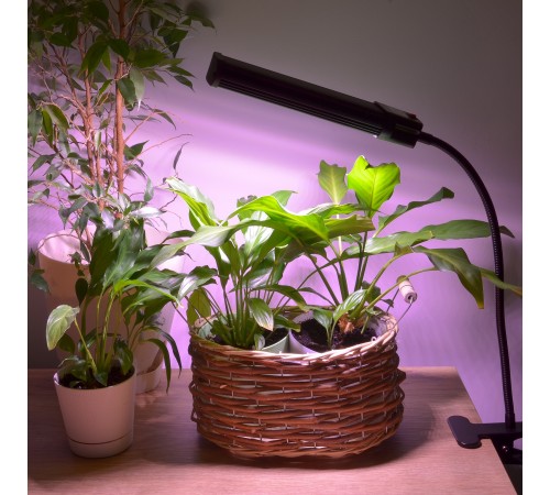 Светильник для растений Uniel UL-00009251 ULT-P31