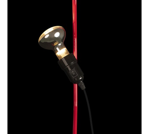 Светильник на растяжке Loft it 10346/1 Red Parentesi