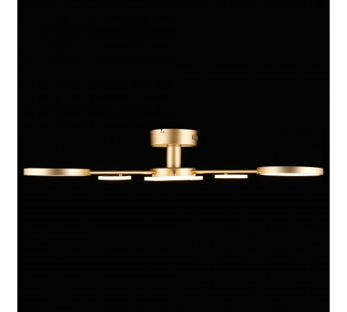 Люстра на штанге Aployt APL.015.07.33 Didian