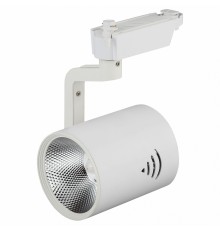 Светильник на штанге Эра TR1 - 30 WH TR1