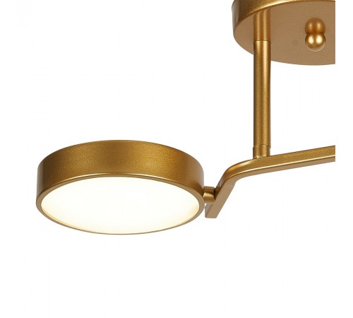 Светильник на штанге Escada 10273/2LED Starlight