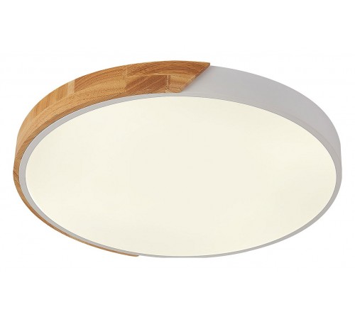 Накладной светильник Natali Kovaltseva LED LAMPS 81182 Scandinavian