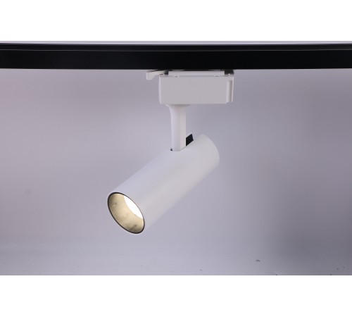 Светильник на штанге Эра TR5-10 COB WH