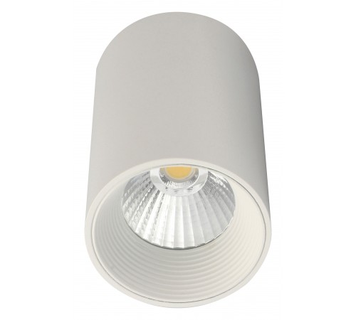 Накладной светильник Escada 20003SMU/01LED SWH 20003