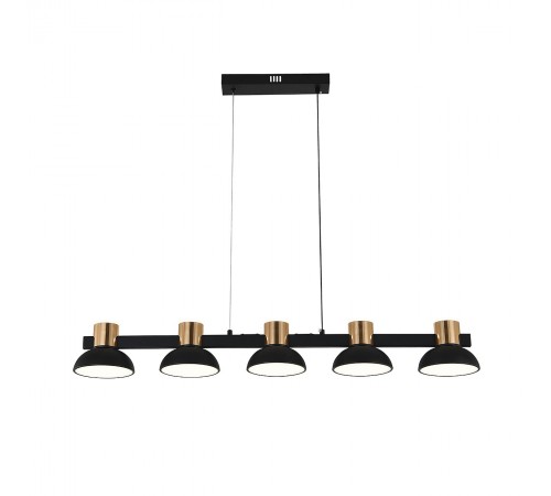 Подвесной светильник Indigo 11059/5PL Black Traforo