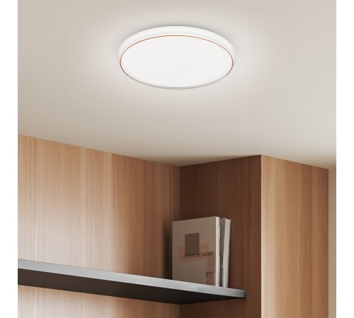 Накладной светильник Эра SPB-6-80-RC Solar