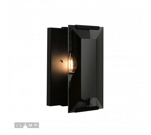 Накладной светильник iLamp 10090/1W BK Panorama