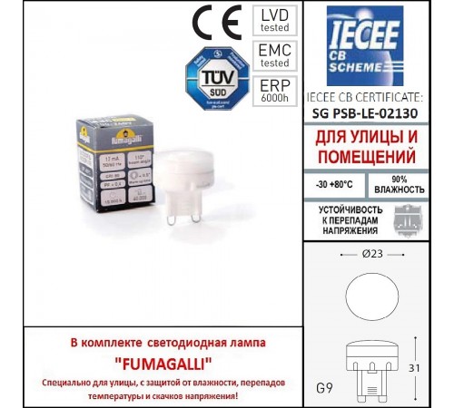 Встраиваемый в дорогу светильник Fumagalli 1L1.000.000.AXZ1L Aldo