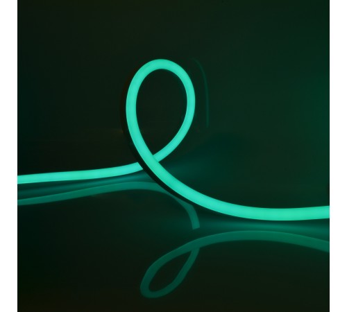 Лента светодиодная Uniel UL-00009106 Neon ULS-N12