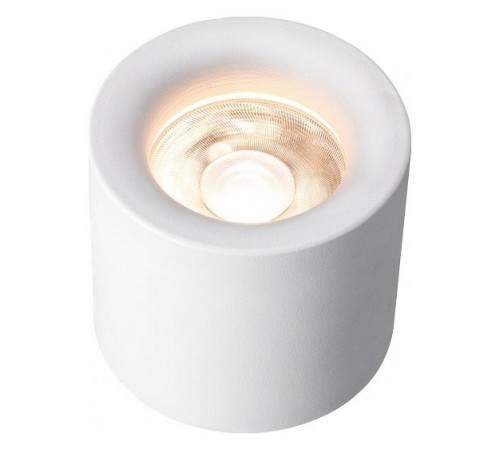 Накладной светильник iLedex 113-12W-D100-3000K-24DG-WH Metrica