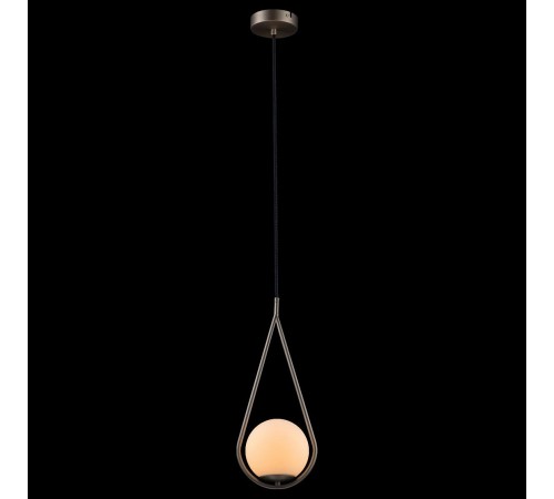 Подвесной светильник Loft it LOFT2599-B Glob