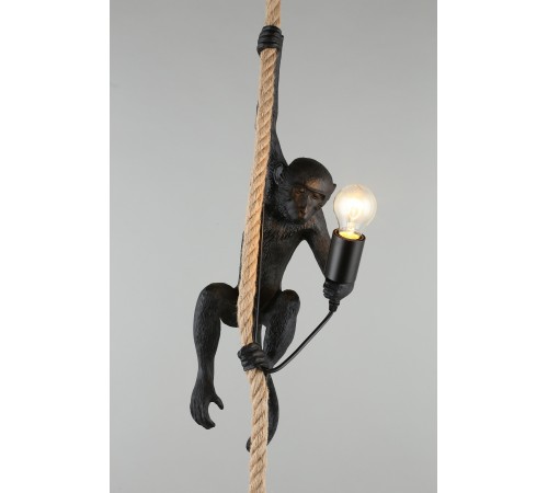 Подвесной светильник Aployt APL.309.16.01 Magali