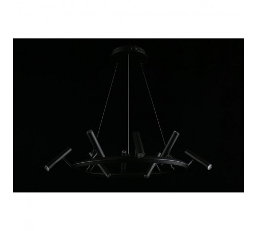 Подвесная люстра Aployt APL.067.03.40 Honor