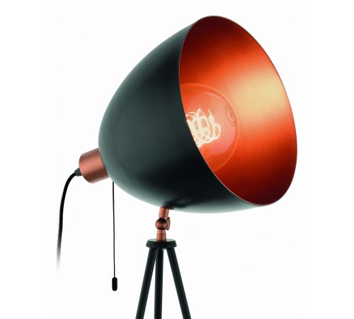 Торшер Eglo 49386 Chester