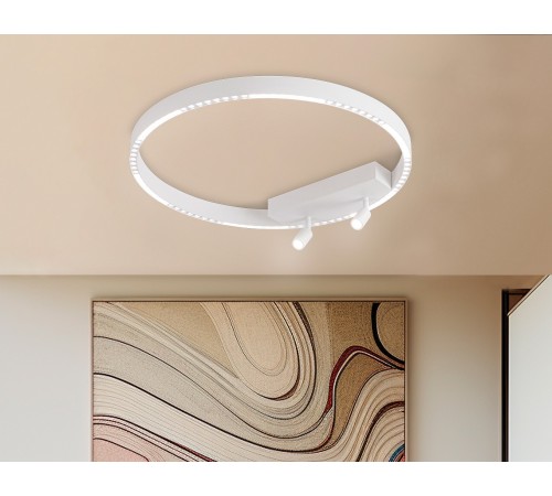 Накладной светильник Ambrella Light FL5807 FL