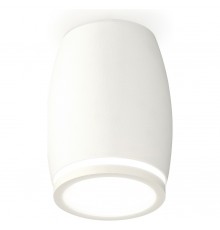 Накладной светильник Ambrella Light XS1122020 XS