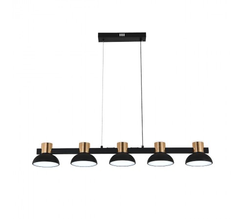 Подвесной светильник Indigo 11059/5PL Black Traforo