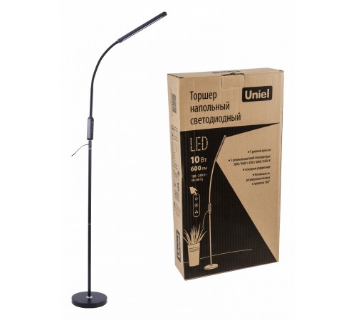 Торшер Uniel UL-00010178 ULM-T619