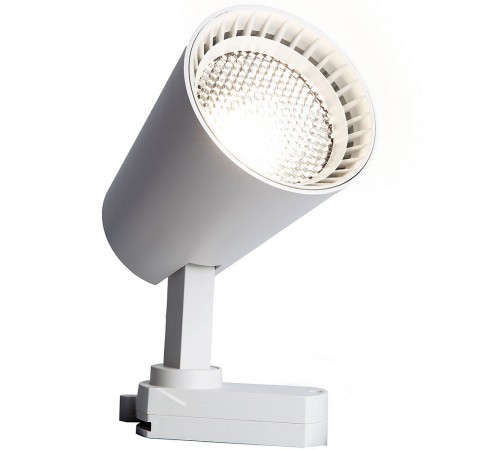 Светильник на штанге Feron 41605 AL100