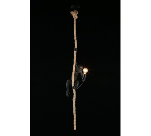 Подвесной светильник Aployt APL.309.16.01 Magali