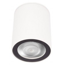 Накладной светильник Loft it 10344 White Rush