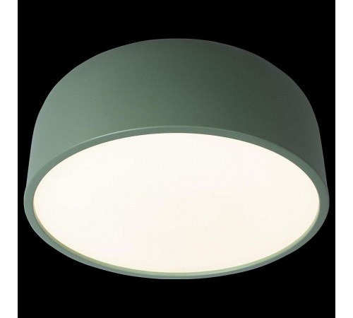 Накладной светильник Loft it 10201/350 Green Axel