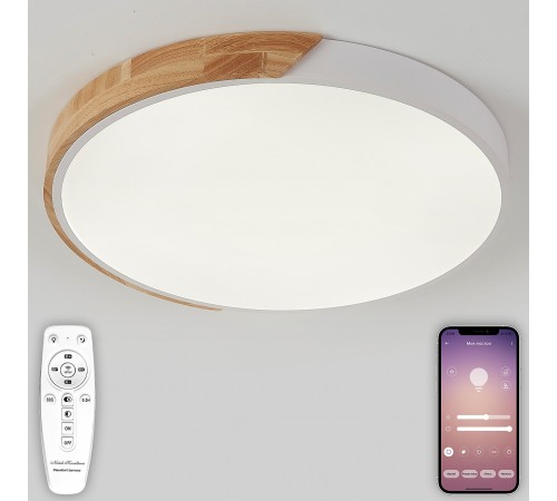 Накладной светильник Natali Kovaltseva LED LAMPS 81182 Scandinavian
