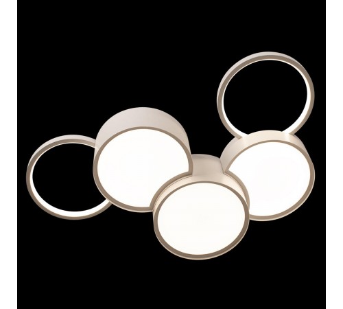 Потолочная люстра Loft it 10317/5 White Pin