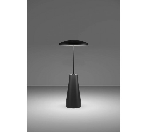 Настольная лампа декоративная Eglo 900925 PICCOLA