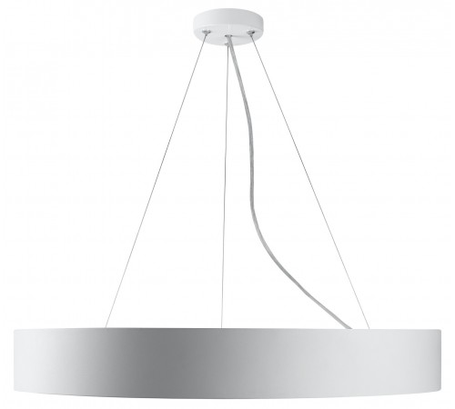 Подвесной светильник Эра Б0058904 Ring