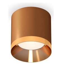 Накладной светильник Ambrella Light XS7404010 XS