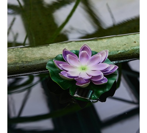 Растение Uniel UL-00011601 WATERLILY