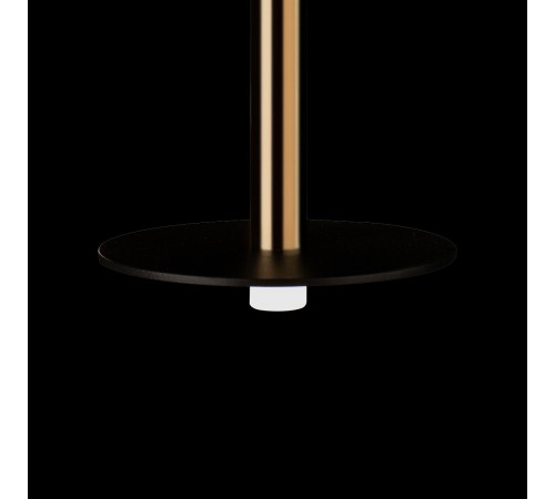 Подвесной светильник Loft it 10358/830 Disk AB Reed