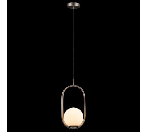 Подвесной светильник Loft it LOFT2595-B Glob