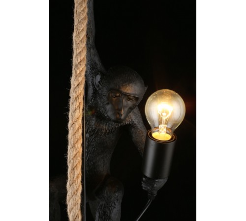 Подвесной светильник Aployt APL.309.16.01 Magali