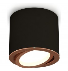 Накладной светильник Ambrella Light XS7402004 XS