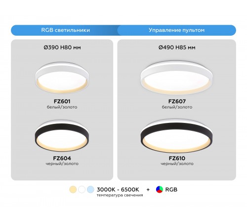 Накладной светильник Ambrella Light FZ604 FZ