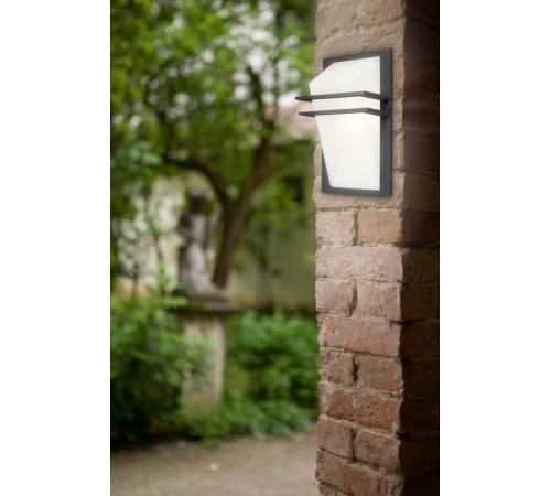 Накладной светильник Eglo 83433 Park