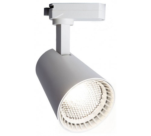 Светильник на штанге Feron 41605 AL100